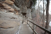 Enlarge photo 91