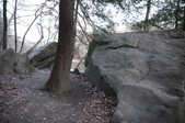 Enlarge photo 93