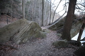 Enlarge photo 95