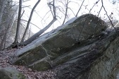 Enlarge photo 97