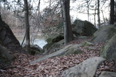 Enlarge photo 98