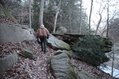 Enlarge photo 99