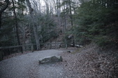 Enlarge photo 107