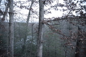 Enlarge photo 109