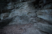 Enlarge photo 113