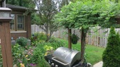 Enlarge photo 11