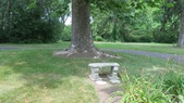 Enlarge photo 2