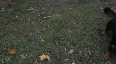 Riley alias the leaf conqueror