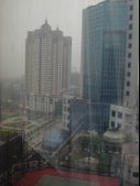 Enlarge photo 217