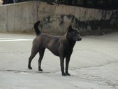 Enlarge photo 221