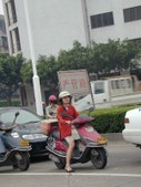 Enlarge photo 223