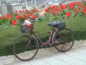 Enlarge photo 224