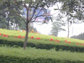 Enlarge photo 227