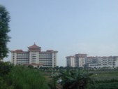 Enlarge photo 254