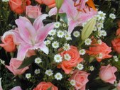 Enlarge photo 275