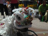 Enlarge photo 305