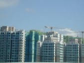 Enlarge photo 299