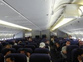 Enlarge photo 301