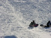 Enlarge photo 145