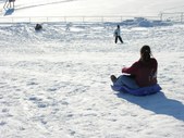 Enlarge photo 153
