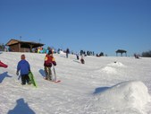 Enlarge photo 164