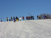 Enlarge photo 170