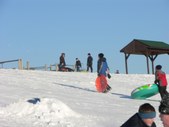 Enlarge photo 173