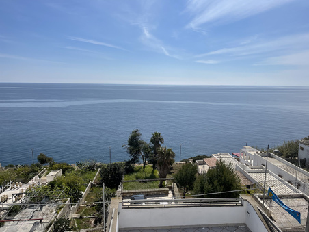 Enlarge photo 45
