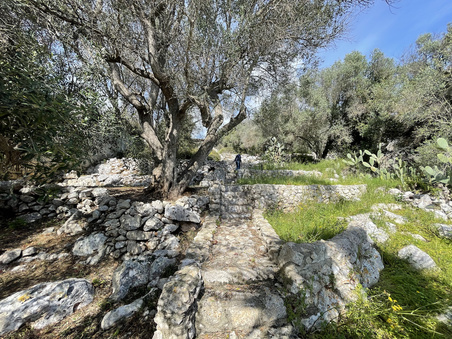 Enlarge photo 51