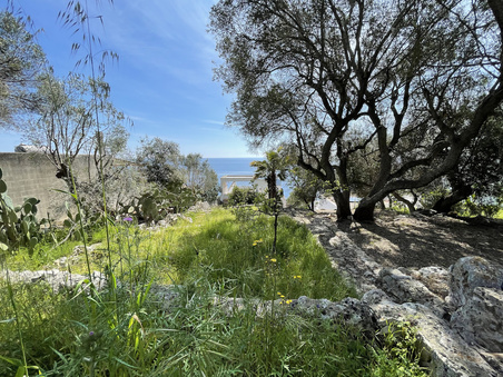 Enlarge photo 54