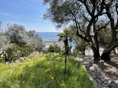 Enlarge photo 52