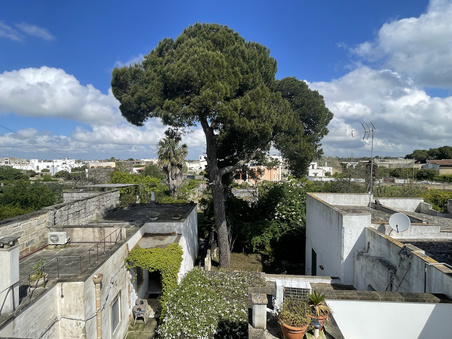 Enlarge photo 50