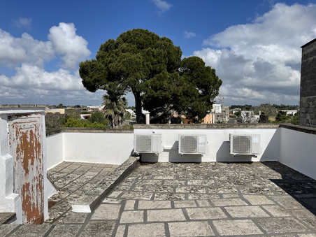 Enlarge photo 59