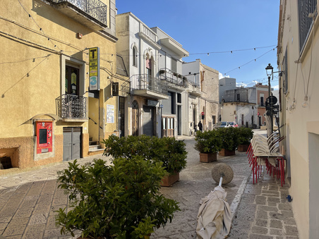 Enlarge photo 67