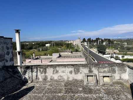 Enlarge photo 44
