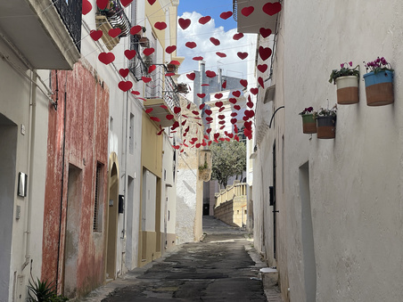 PARABITA