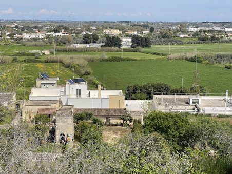 Enlarge photo 40