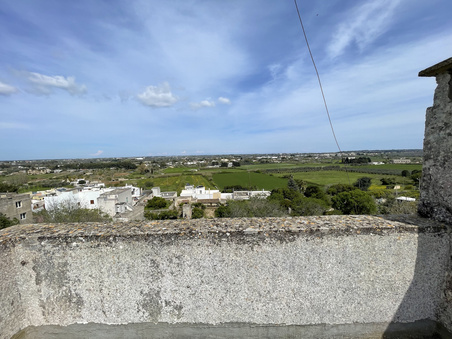 Enlarge photo 48