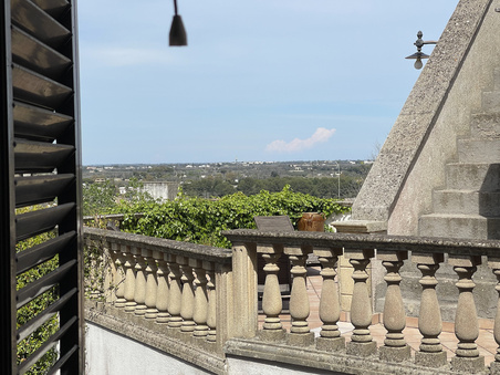 Enlarge photo 72