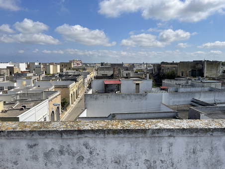 Enlarge photo 71