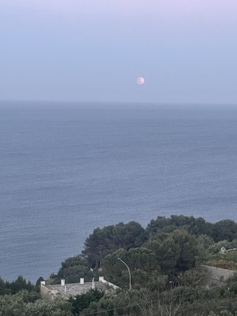 Enlarge photo 139