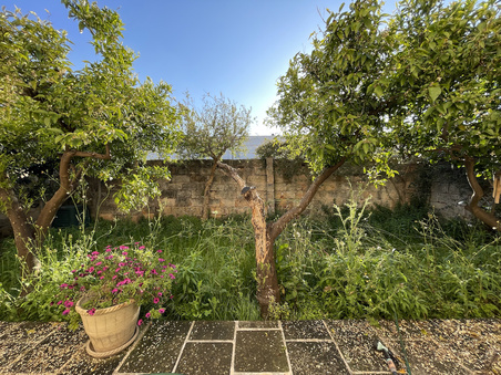 Enlarge photo 70