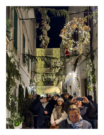 Enlarge photo 105