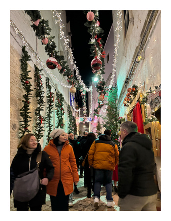 Enlarge photo 106