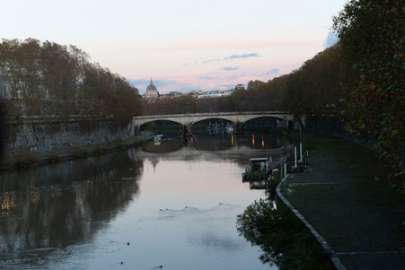 Enlarge photo 77
