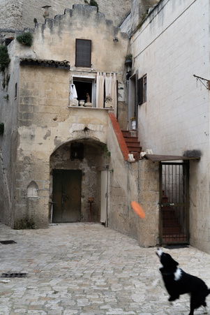Enlarge photo 38