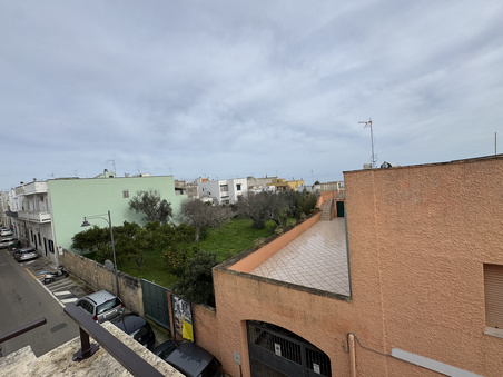 Enlarge photo 54
