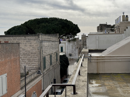 Enlarge photo 56