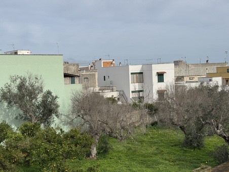 Enlarge photo 61