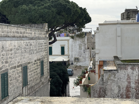 Enlarge photo 65